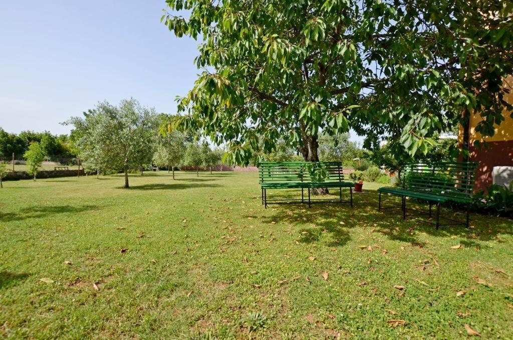 Apartment Karolina - Green Oasis Pola Esterno foto