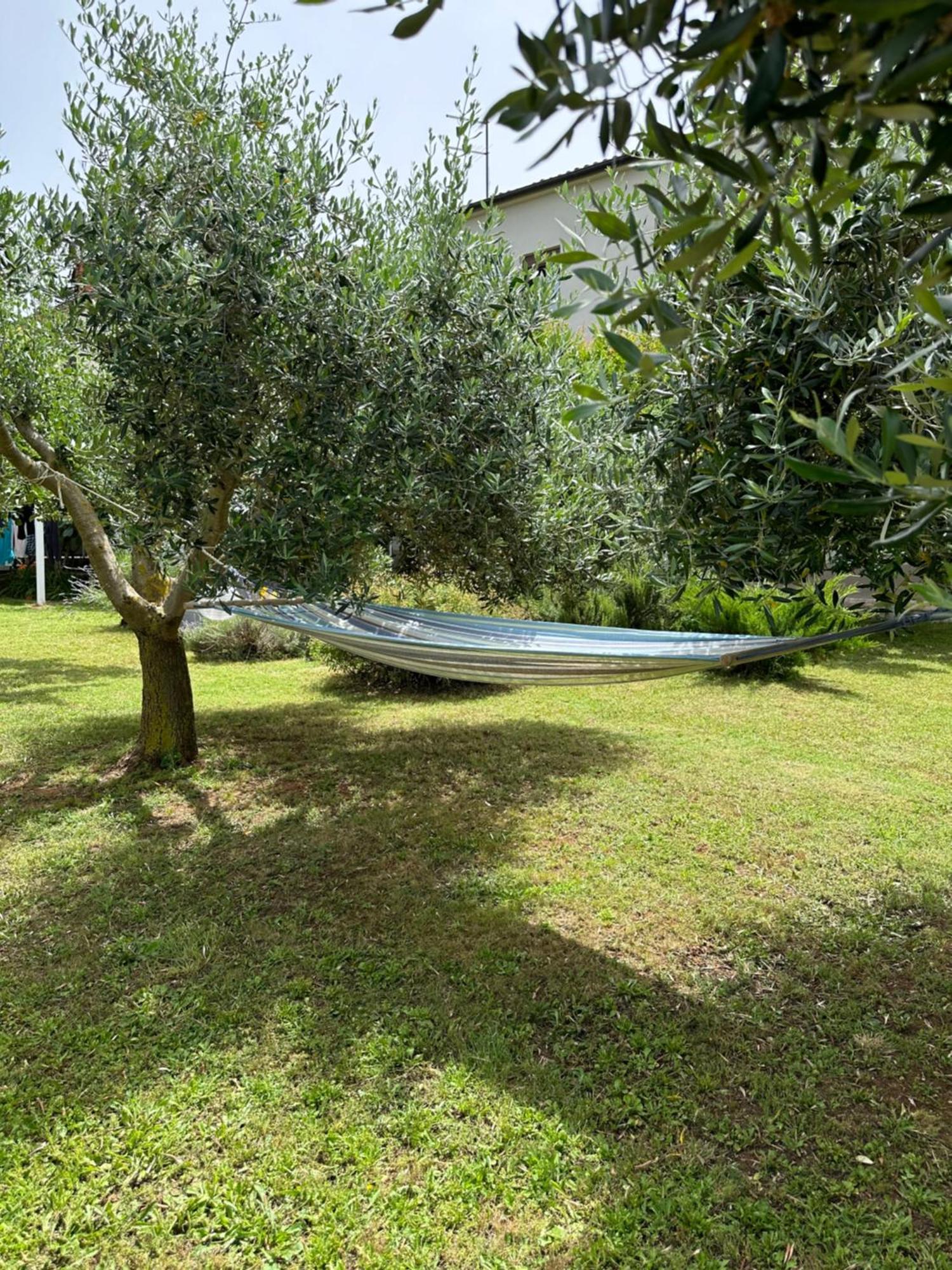 Apartment Karolina - Green Oasis Pola Esterno foto